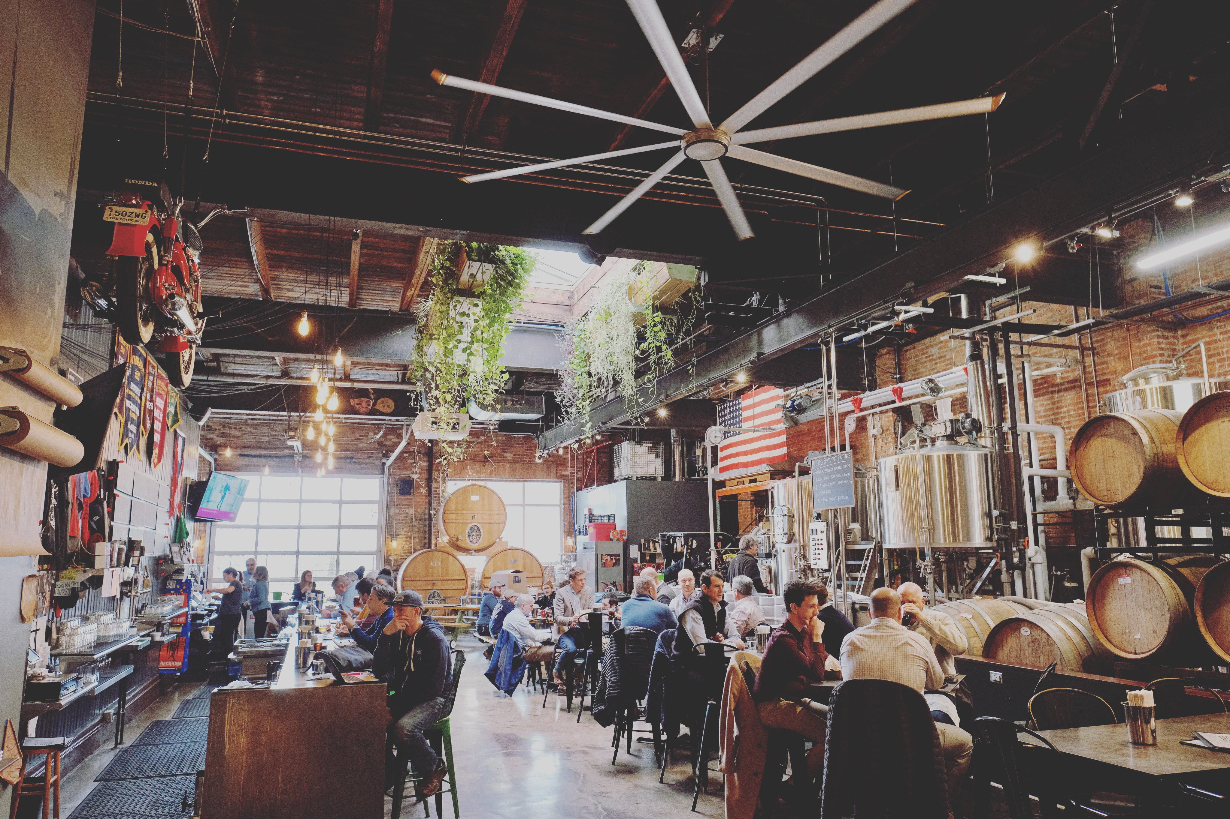 Noble Beast Brewing Co. photo